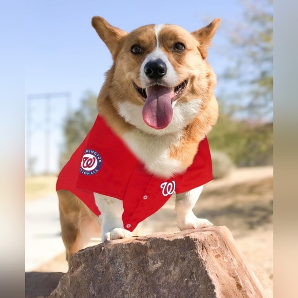 Official MLB Washington Nationals Pet Jersey for Dogs & Cats - Picture 6 of 10